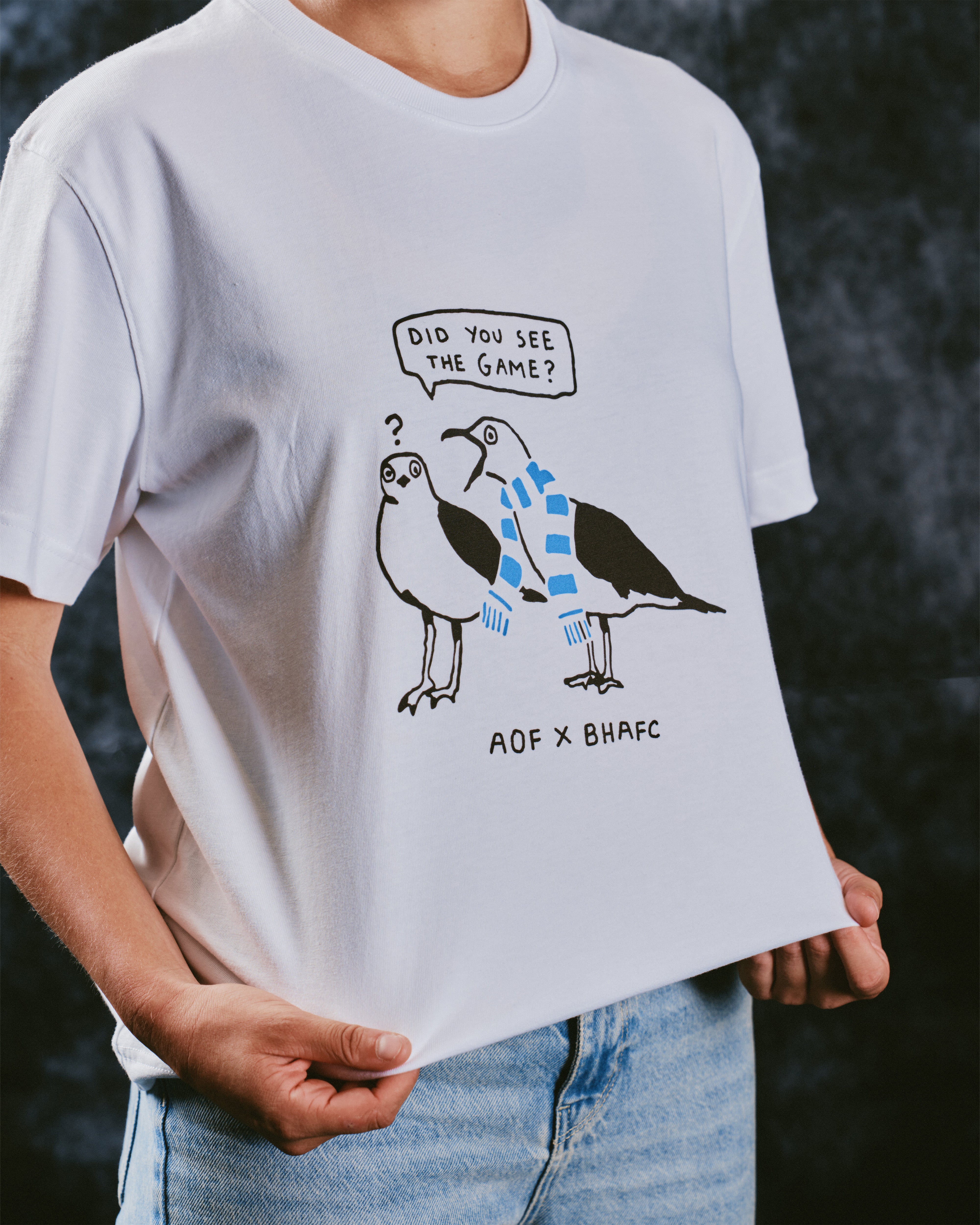 ART OF x Brighton Did You See The Game Tee | BHAFC Football T-shirt
