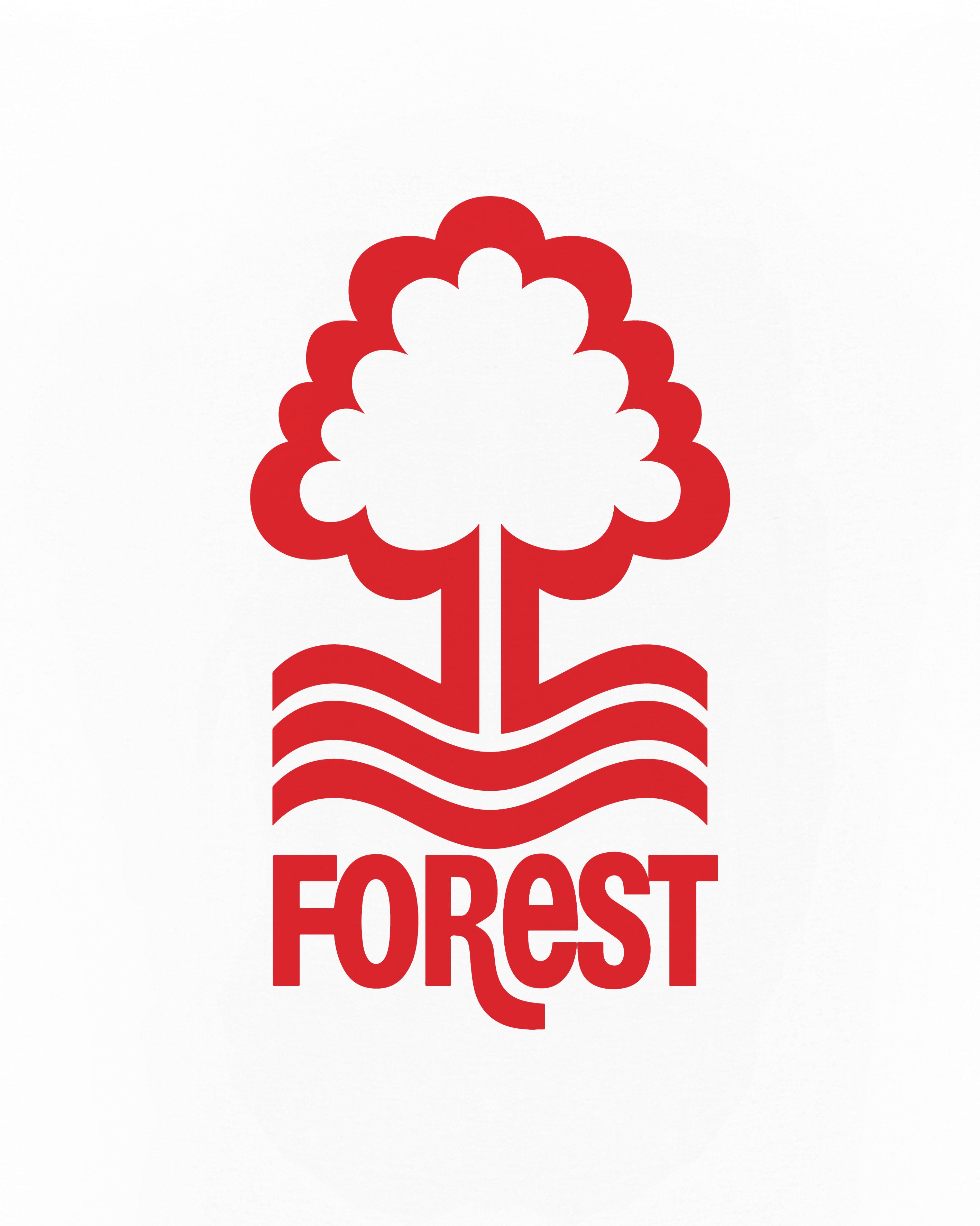 ART OF x Forest 90s Crest Tee | NFFC White Graphic Football T-shirt