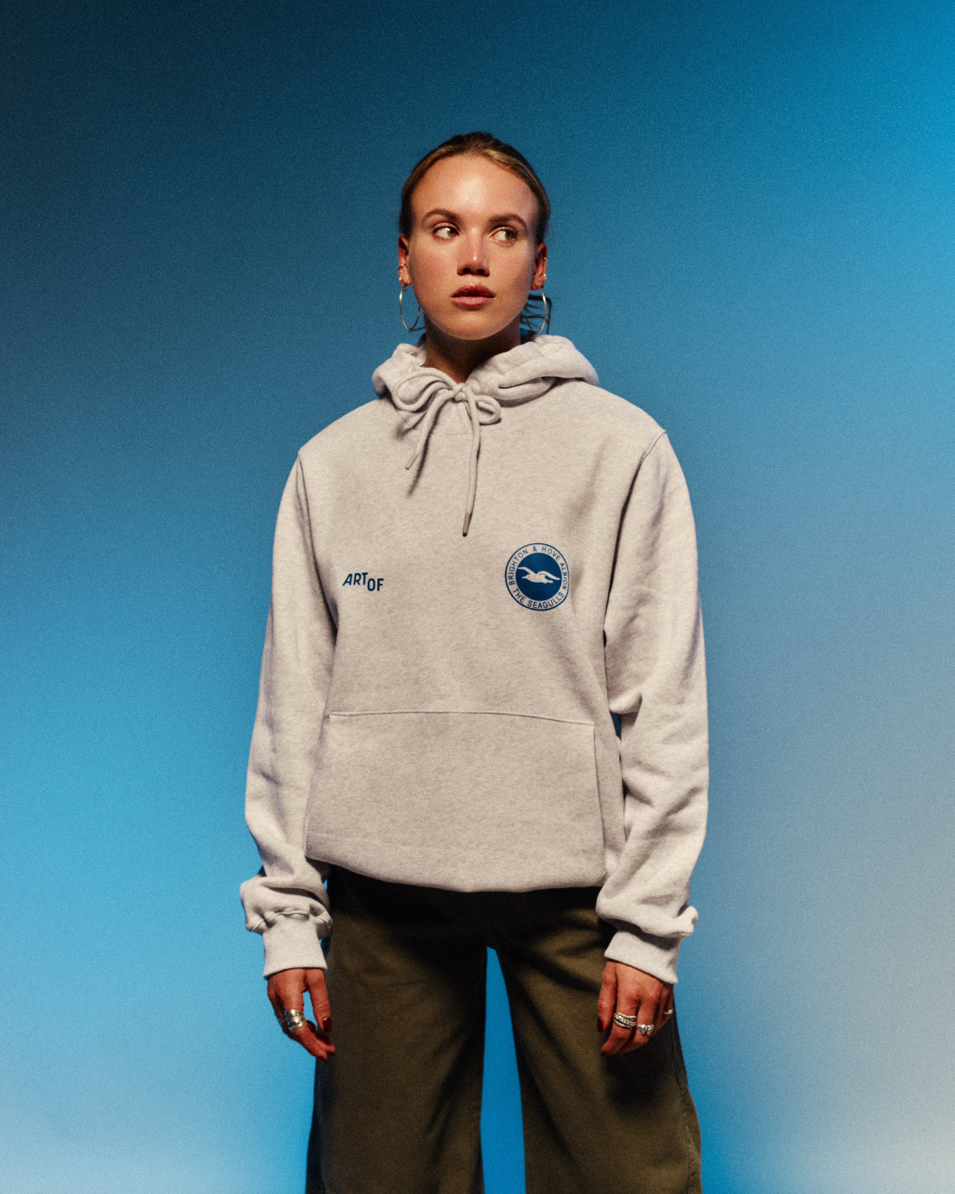 ART OF x Brighton Heritage Hoodie | BHAFC Grey Printed Football Sweat