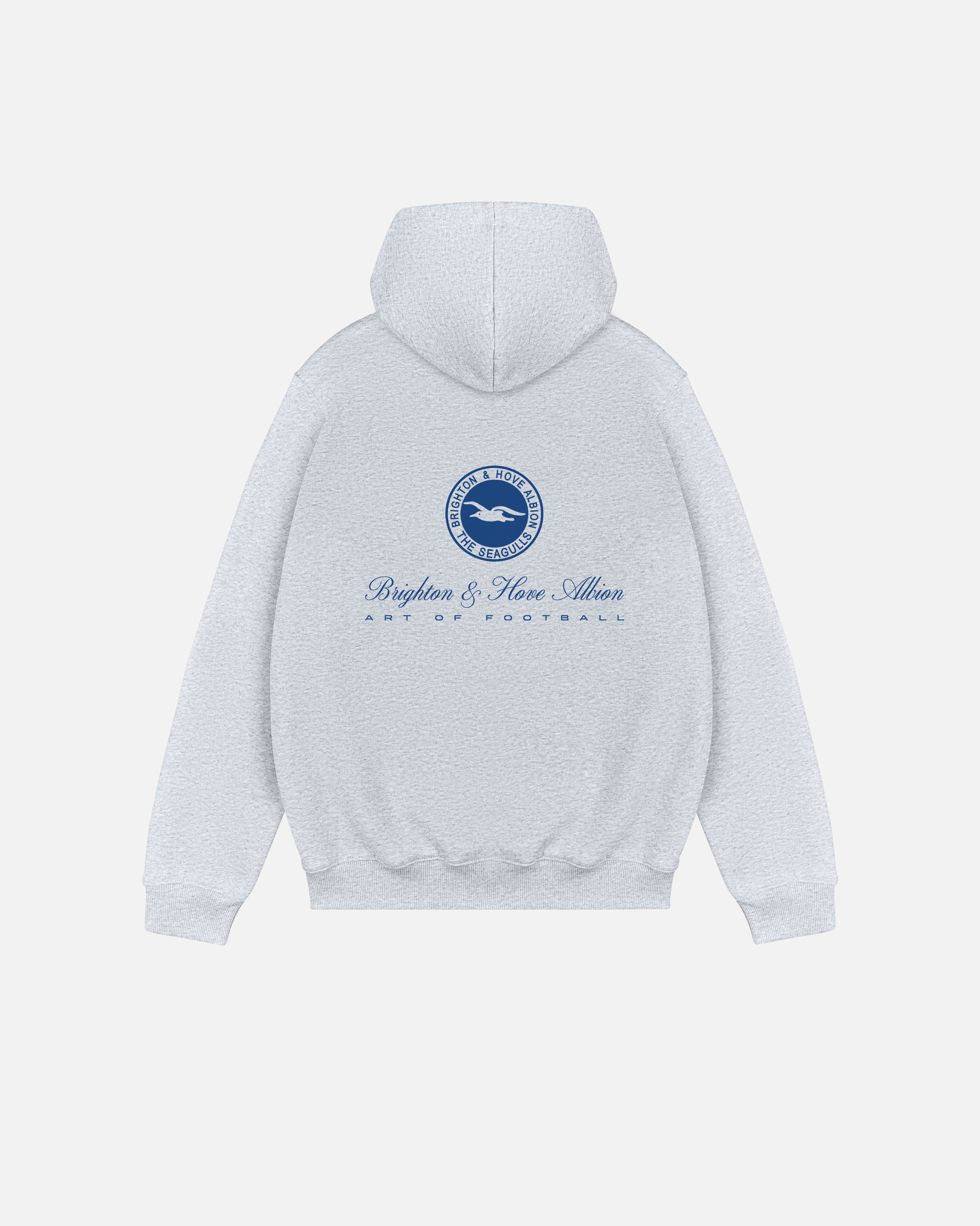 ART OF x Brighton Heritage Hoodie | BHAFC Grey Printed Football Sweat
