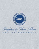 ART OF x Brighton Heritage Hoodie | BHAFC Grey Printed Football Sweat