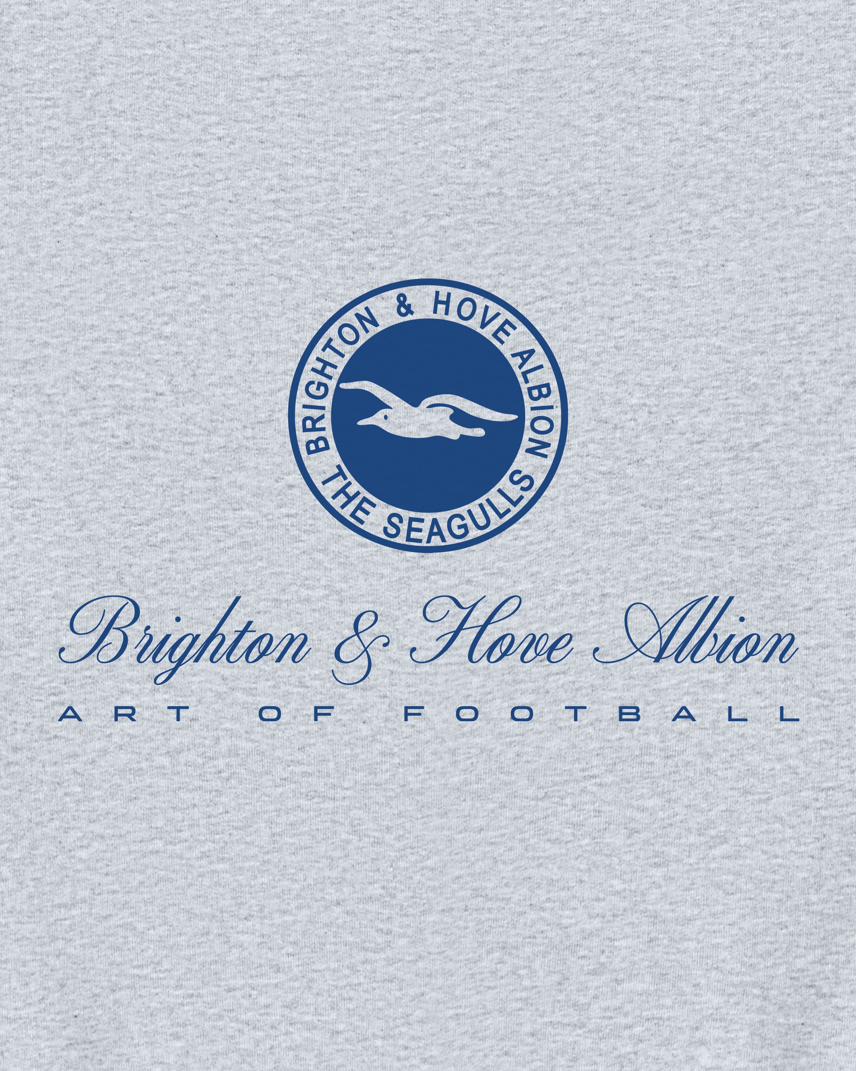 ART OF x Brighton Heritage Hoodie | BHAFC Grey Printed Football Sweat