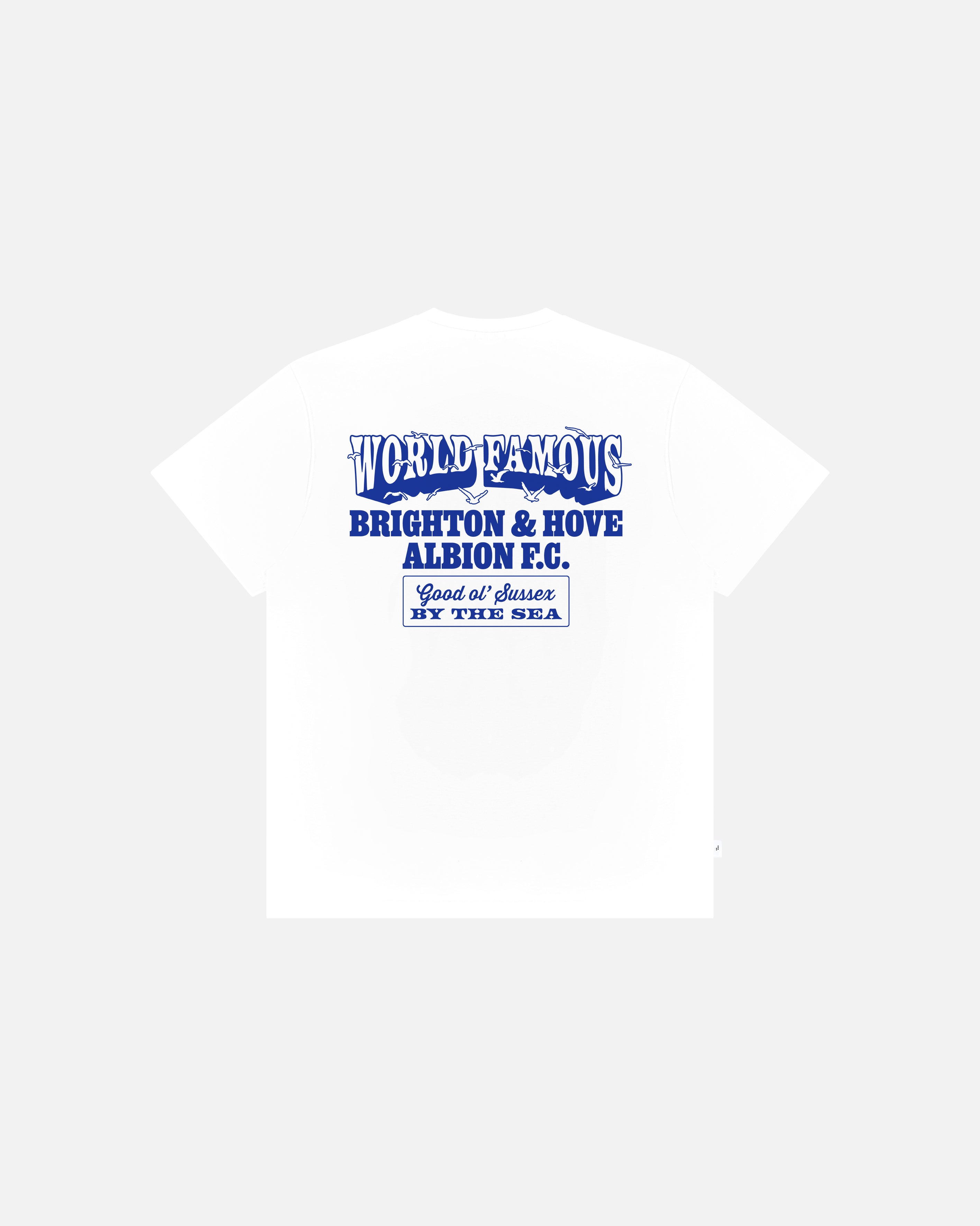 ART OF x Brighton World Famous Tee | BHAFC White Football T-shirt