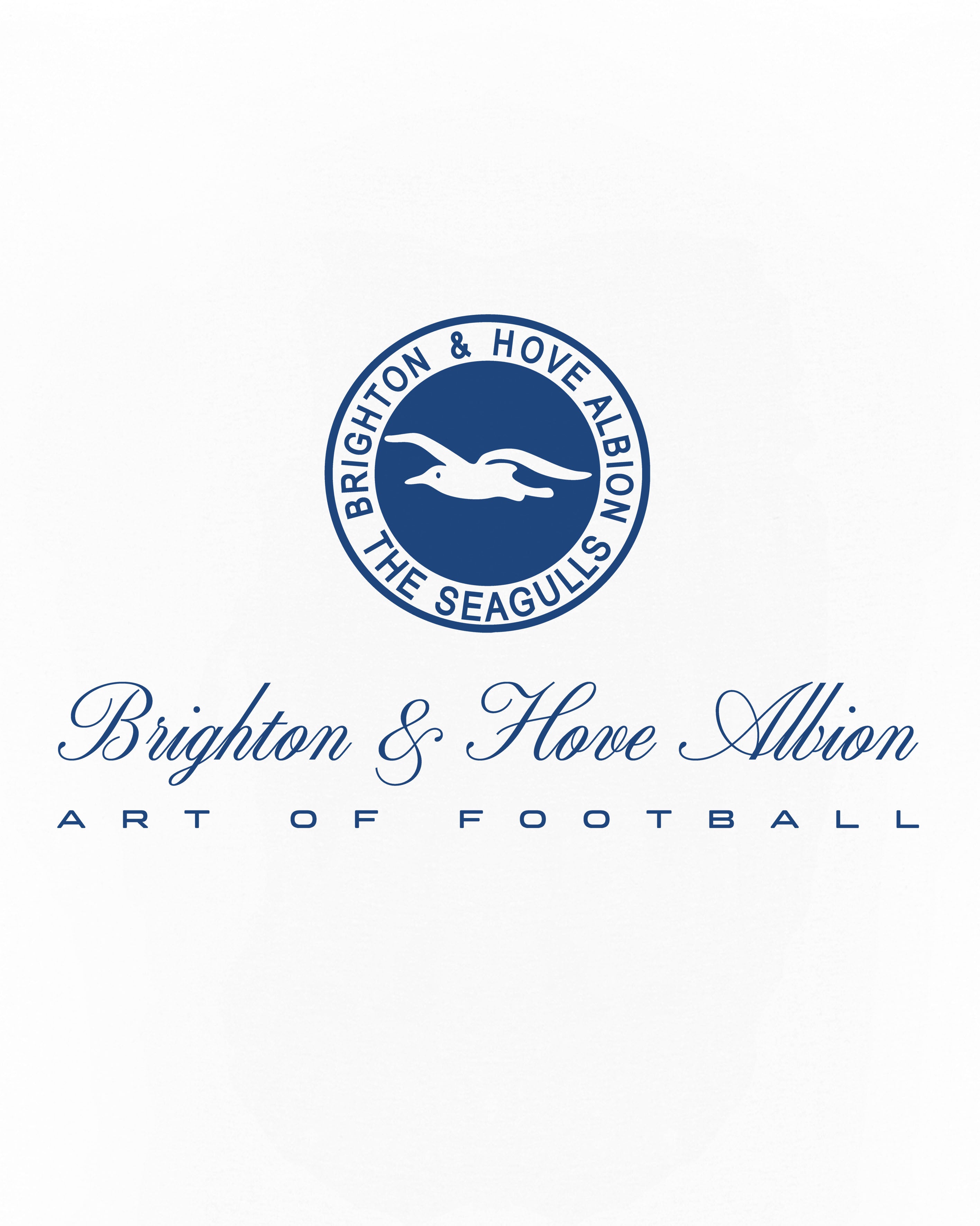 ART OF x Brighton Heritage Tee | BHAFC White Graphic Football T-shirt