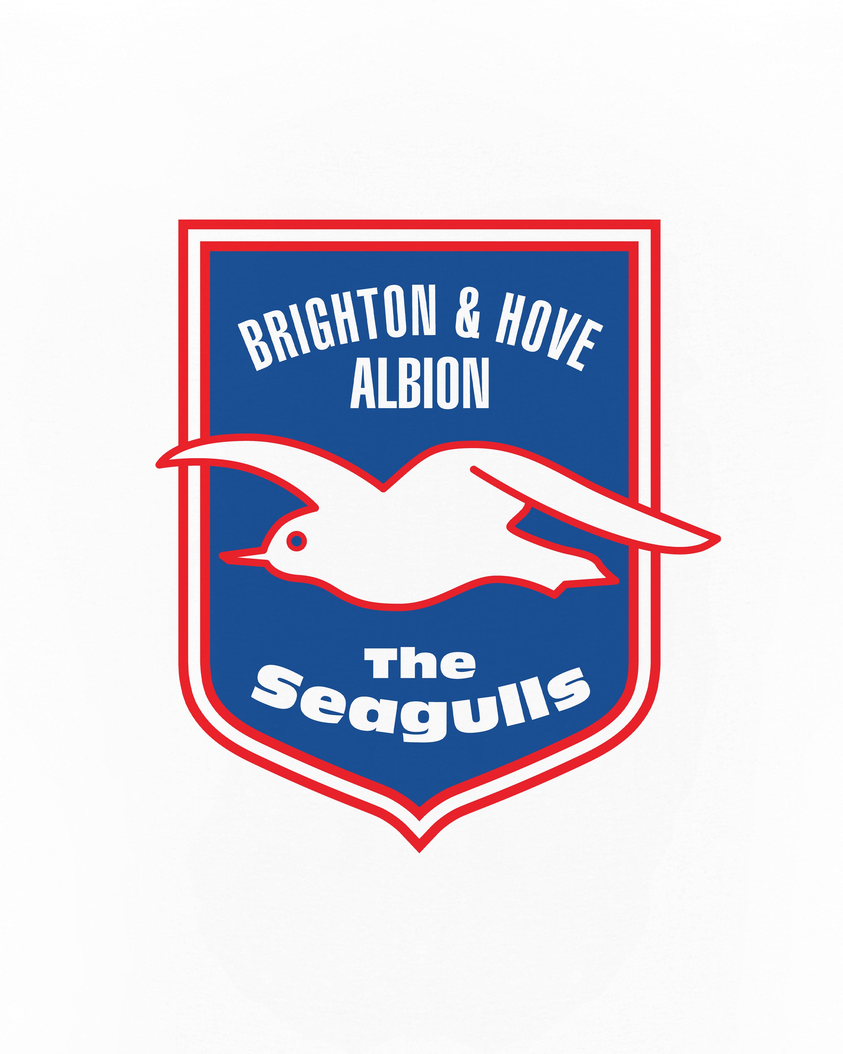 ART OF x Brighton Crest Tee | BHAFC White Graphic Football T-shirt